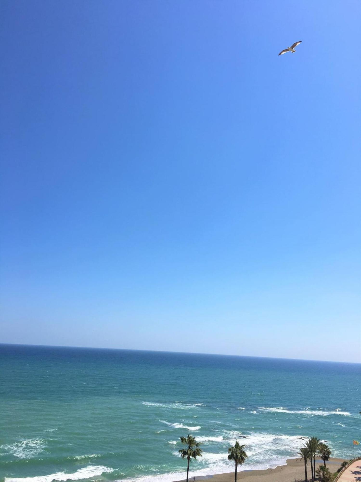 בנאלמדנה Frontal Sea View Apartment Benalbeach מראה חיצוני תמונה